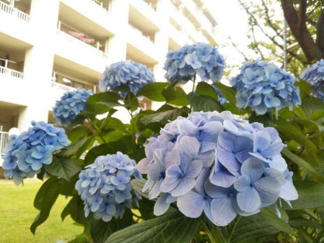 f:id:nonamed:20180625222624j:plain