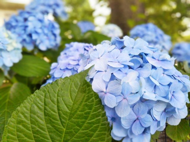 f:id:nonamed:20180625222838j:plain