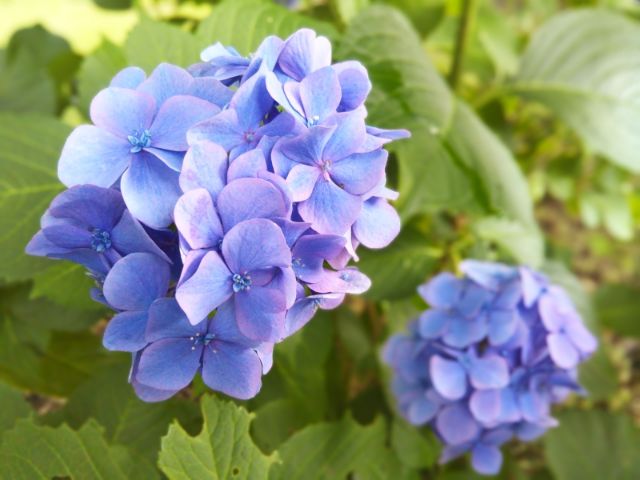 f:id:nonamed:20180625233325j:plain