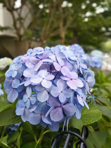 f:id:nonamed:20180625233529j:plain