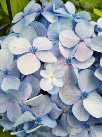 f:id:nonamed:20180625233905j:plain