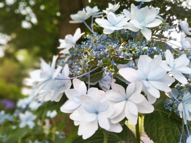 f:id:nonamed:20180625235833j:plain