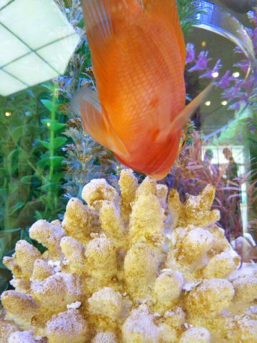 f:id:nonamed:20180703222113j:plain