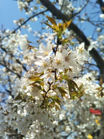 f:id:nonamed:20180713225111j:plain