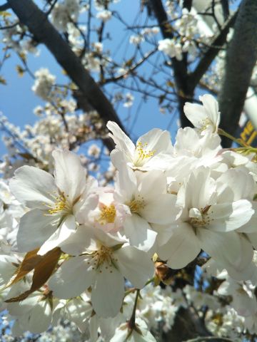 f:id:nonamed:20180713225356j:plain