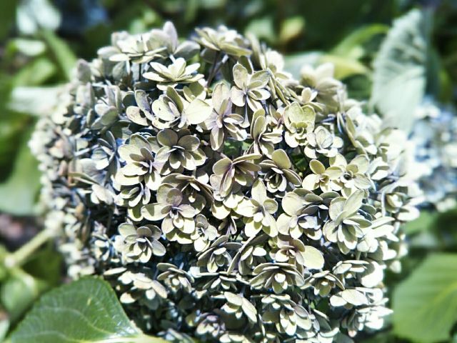 f:id:nonamed:20180716182216j:plain