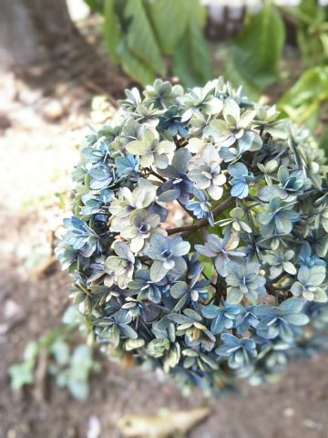 f:id:nonamed:20180716182325j:plain