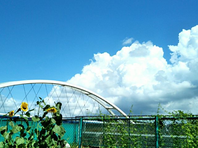 f:id:nonamed:20180729142251j:plain