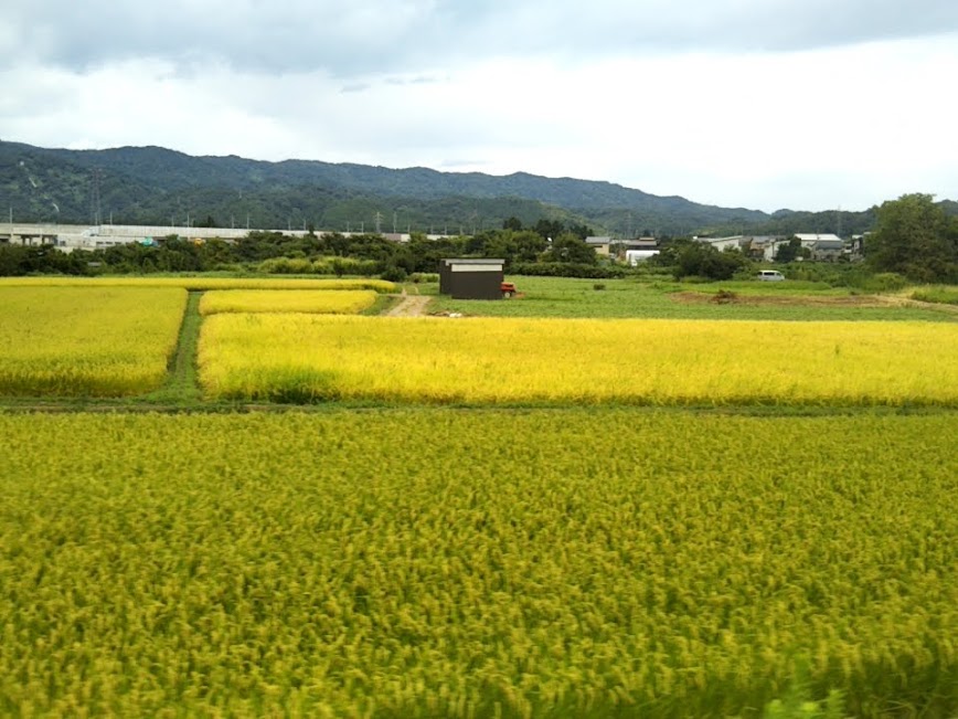 f:id:nonamed:20180827081429j:plain f:id:nonamed:20180827081429j:plain