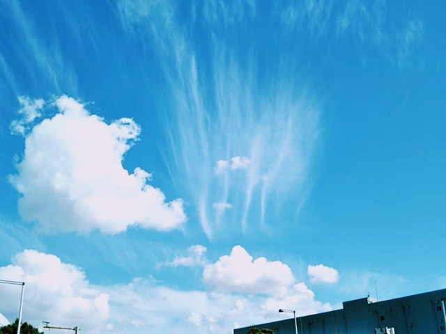 f:id:nonamed:20180827101944j:plain