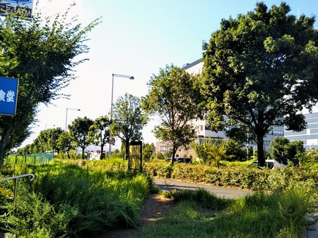 f:id:nonamed:20180827103031j:plain