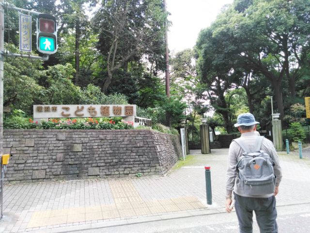f:id:nonamed:20180924114750j:plain