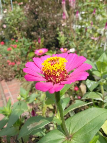 f:id:nonamed:20180924174144j:plain