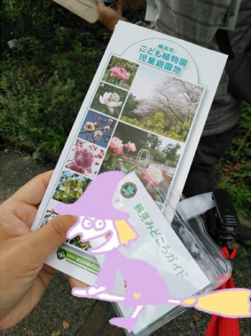 f:id:nonamed:20180924212825j:plain