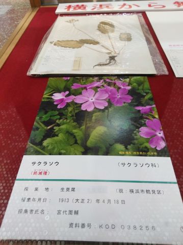 f:id:nonamed:20180924213710j:plain