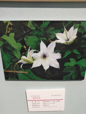 f:id:nonamed:20180924215834j:plain