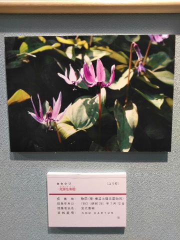 f:id:nonamed:20180924215846j:plain
