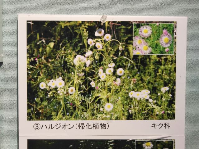 f:id:nonamed:20180924220122j:plain