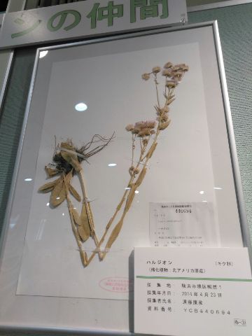 f:id:nonamed:20180924220136j:plain