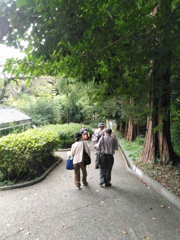 f:id:nonamed:20180924221112j:plain