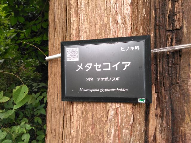 f:id:nonamed:20180924221330j:plain