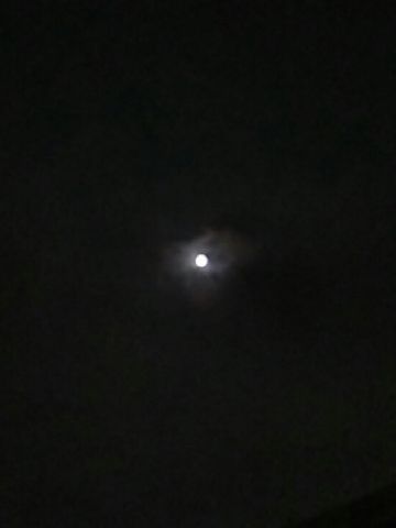 f:id:nonamed:20180924225414j:plain
