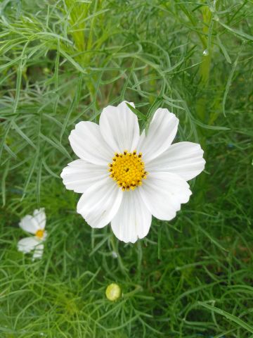 f:id:nonamed:20180926191236j:plain