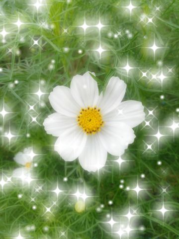 f:id:nonamed:20180926191318j:plain