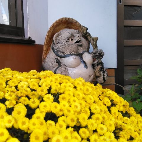 f:id:nonamed:20181101184403j:plain