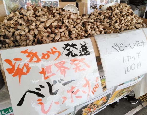 f:id:nonamed:20181124225057j:plain