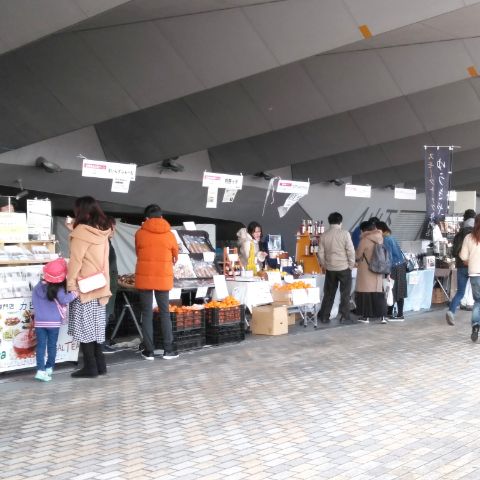 f:id:nonamed:20181126184108j:plain