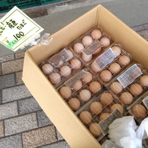 f:id:nonamed:20181126184626j:plain
