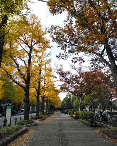 f:id:nonamed:20181126193401j:plain