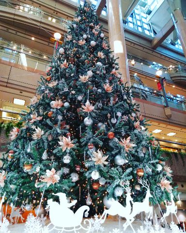 f:id:nonamed:20181127170633j:plain
