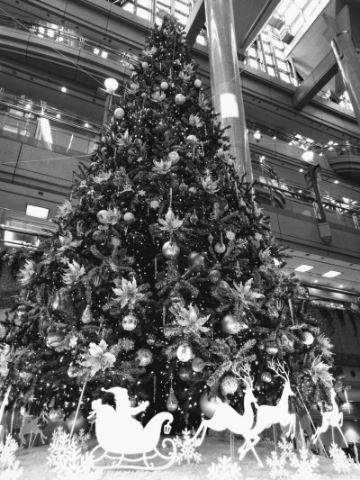 f:id:nonamed:20181203145648j:plain