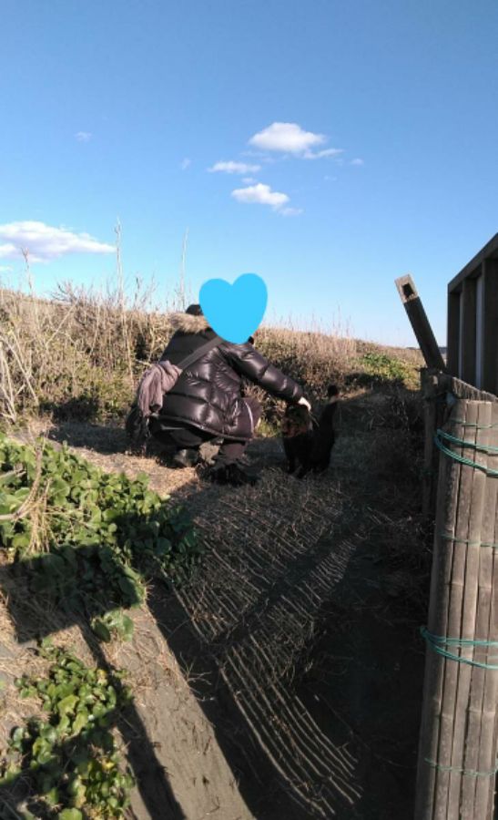 f:id:nonamed:20190103113749j:plain