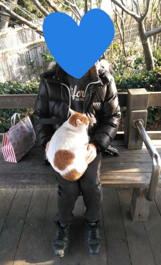 f:id:nonamed:20190104002121j:plain