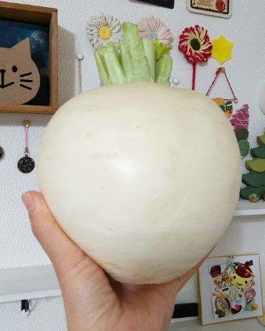 f:id:nonamed:20190106125349j:plain