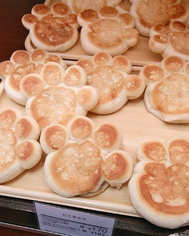 f:id:nonamed:20190108234308j:plain