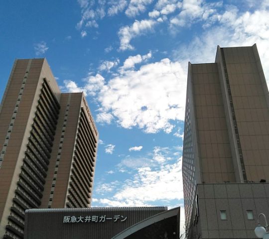 f:id:nonamed:20190110232144j:plain