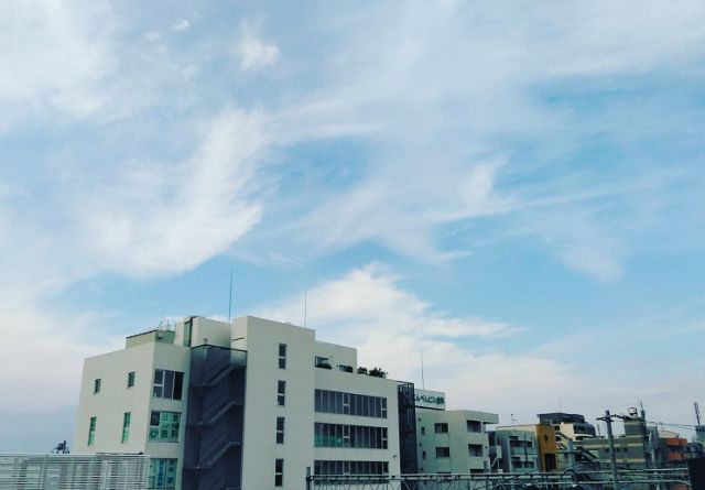 f:id:nonamed:20190223090312j:plain