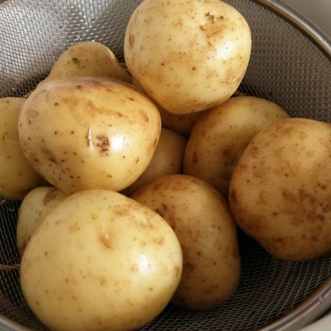 f:id:nonamed:20190226143955j:plain