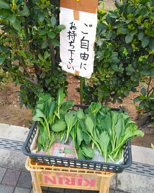 f:id:nonamed:20190319071800j:plain