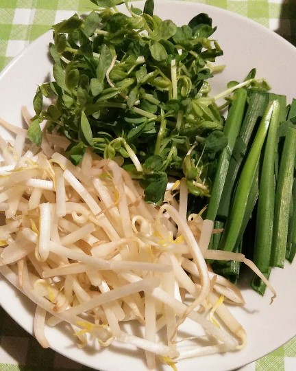 f:id:nonamed:20190326134011j:plain