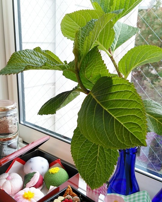 f:id:nonamed:20190329120136j:plain