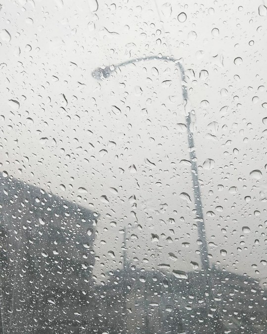 f:id:nonamed:20190408102114j:plain