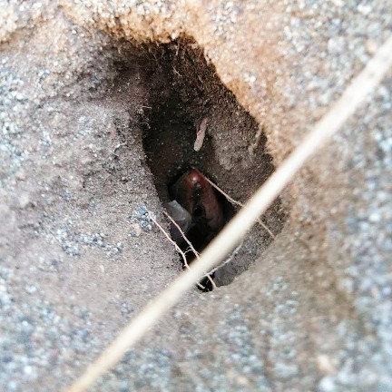 f:id:nonamed:20190410073449j:plain f:id:nonamed:20190410073449j:plain