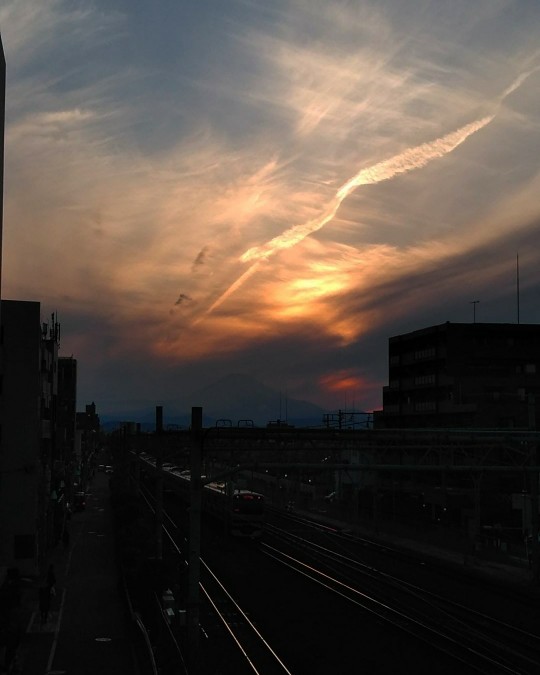 f:id:nonamed:20190413175519j:plain