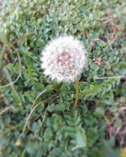 f:id:nonamed:20190413180943j:plain