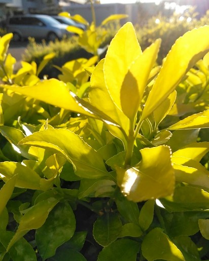 f:id:nonamed:20190413183403j:plain